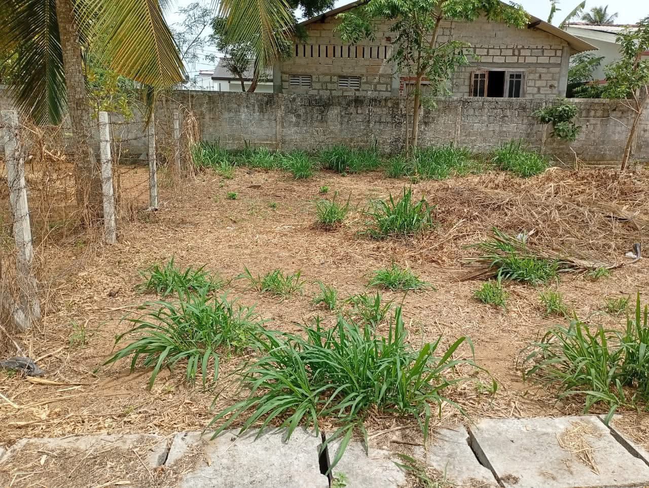දළුවකොටුව පාරේ “ සරස land “පර්චස් 8 ඉඩමක් විකිණීමට ඇත