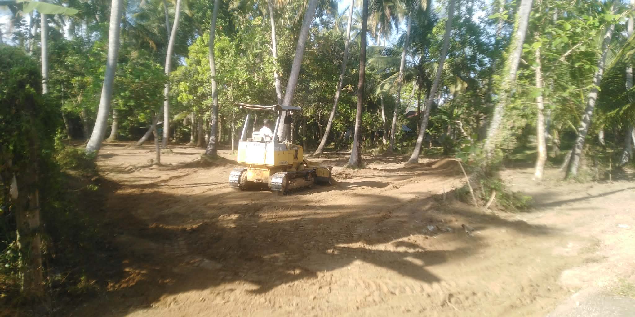 කුරුණෑගල තැනිතලා පොල් ඉඩමක්…