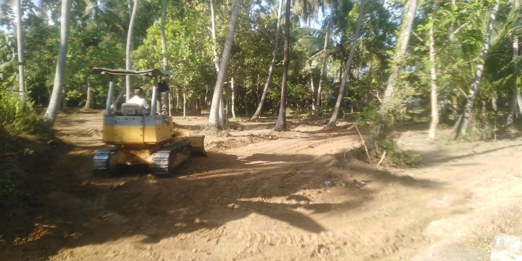 කුරුණෑගල තැනිතලා පොල් ඉඩමක්…