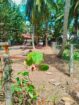 මූදූකටුව,මාරවිල නගරයෙන් අගනා ඉඩමක්