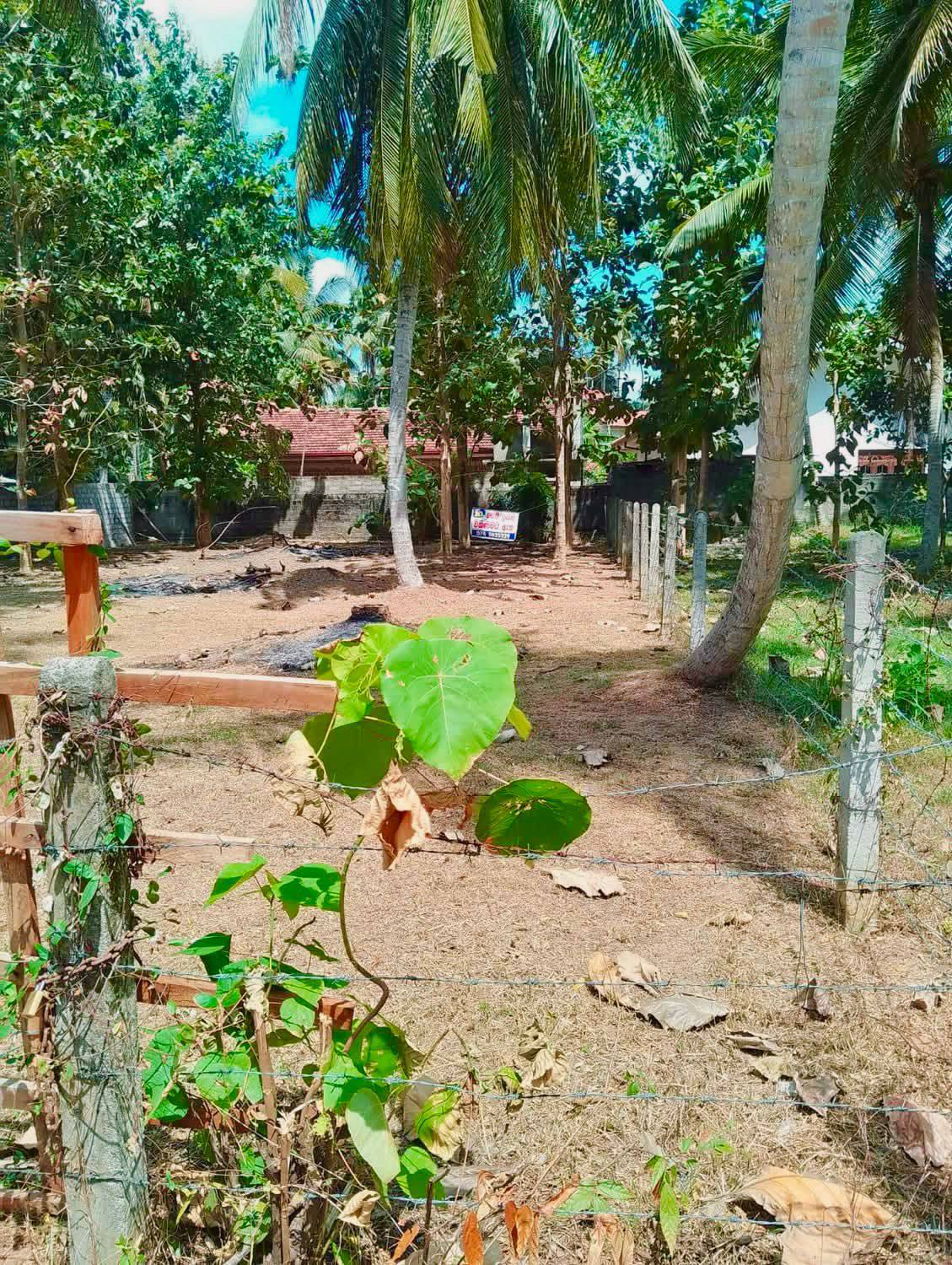 මූදූකටුව,මාරවිල නගරයෙන් අගනා ඉඩමක්