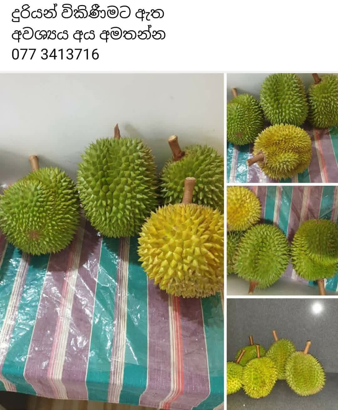 දුරියන් විකිනිමට ඇත.