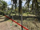 පම්බල, හලාවත ප්‍රදේශයේ ඉඩමක් විකිණීමට