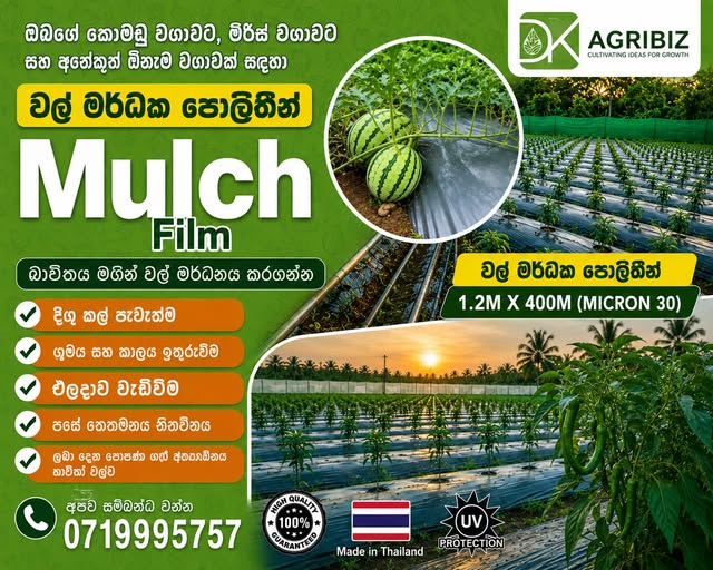 වල් මර්ධක පොලිතීන් (Mulch Film )