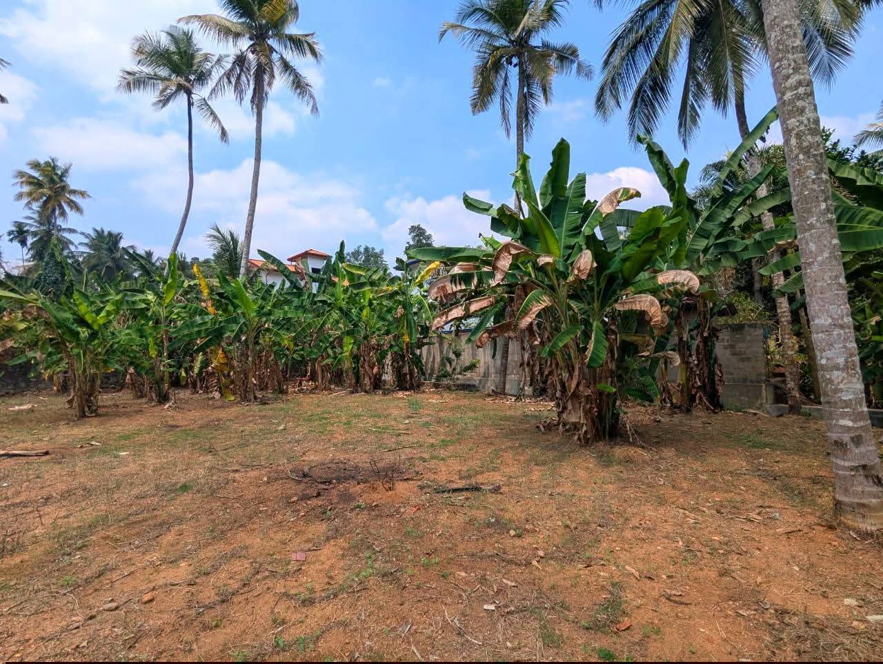 මීරිගම නගර සීමාවේ සිට 400m දුරින් /පර්වස් 80