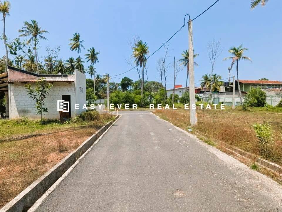 කටුනායකින් සුපිරි ආයෝජනයක් – Airport එකටම ලඟින්! Home Lands වෙන්දේසි වත්තෙන්, පදිංචියටත් ආයෝජනයටත් නියම අවස්ථාවක්!