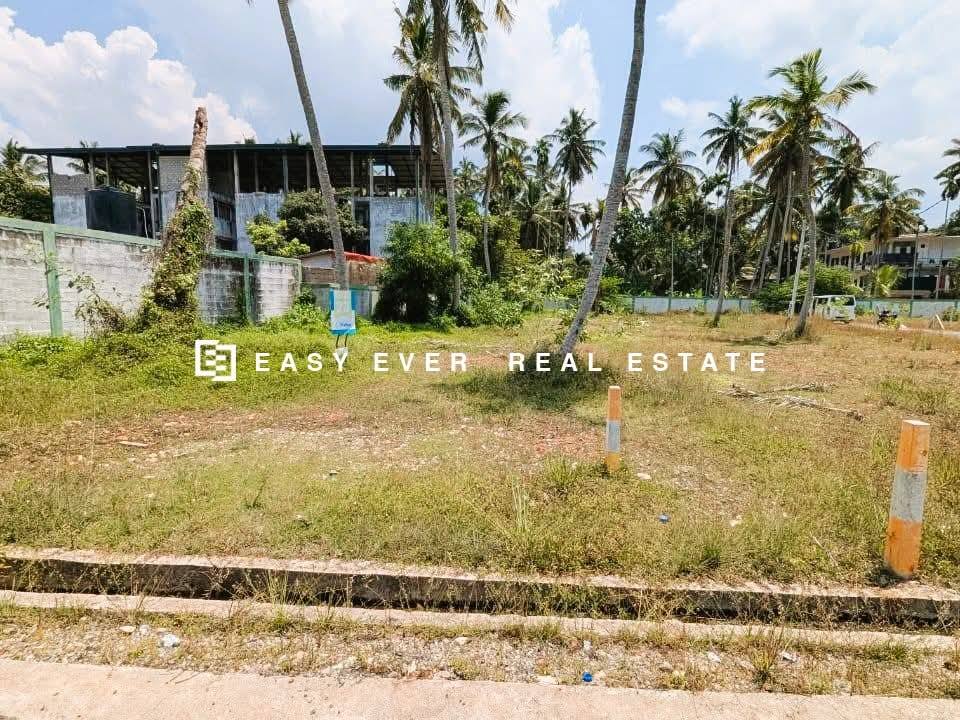 කටුනායකින් සුපිරි ආයෝජනයක් – Airport එකටම ලඟින්! Home Lands වෙන්දේසි වත්තෙන්, පදිංචියටත් ආයෝජනයටත් නියම අවස්ථාවක්!