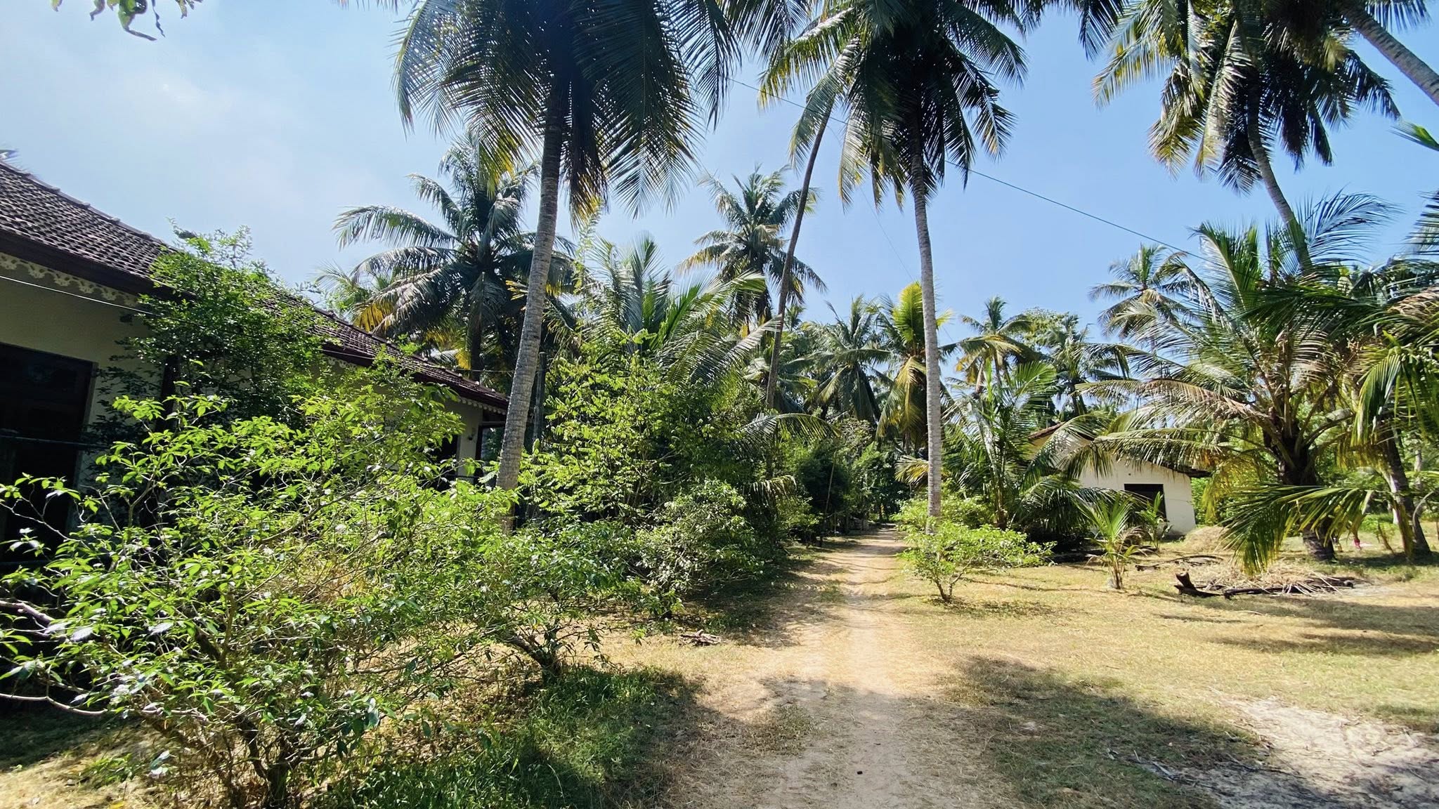 අක්කර 1. 1/2 පොල් ඉඩමක් සමග නිවසක් විකිණිමට ඇත.