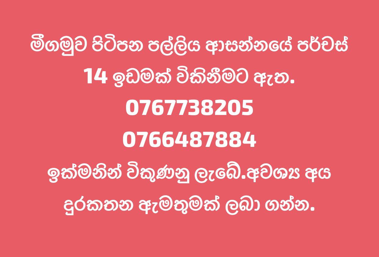මීගමුව පිටිපන පල්ලිය ආසන්නයේ නිරවුල් ඔප්පු සහිත පර්චස් 14 අගනා බිම් කොටසක් විකිණීමට