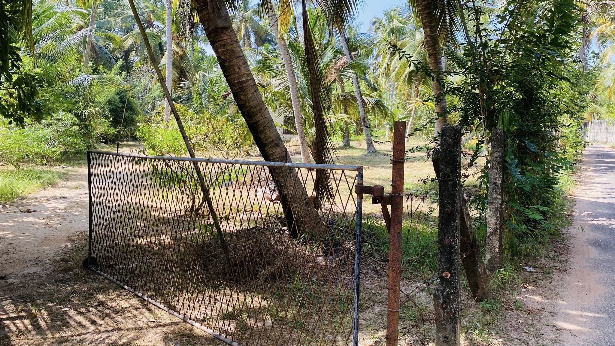 අක්කර 1. 1/2 පොල් ඉඩමක් සමග නිවසක් විකිණිමට ඇත.