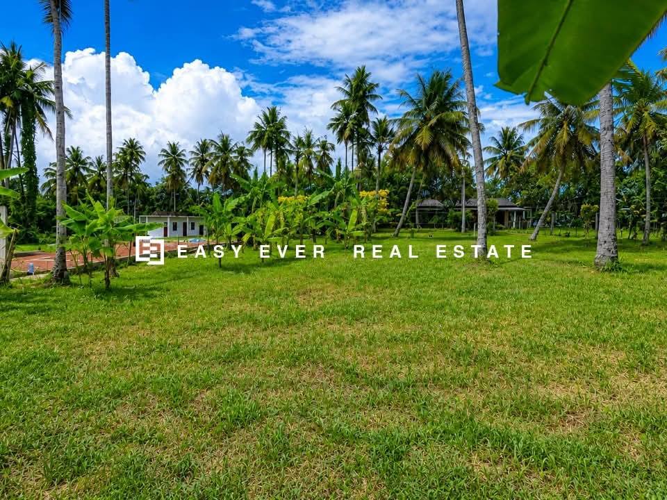 ජා ඇල – මිනුවන්ගොඩ ප්‍රධාන මාර්ගයට අතේ දුරින් පර්චස් 24