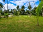 ජා ඇල – මිනුවන්ගොඩ ප්‍රධාන මාර්ගයට අතේ දුරින් පර්චස් 24