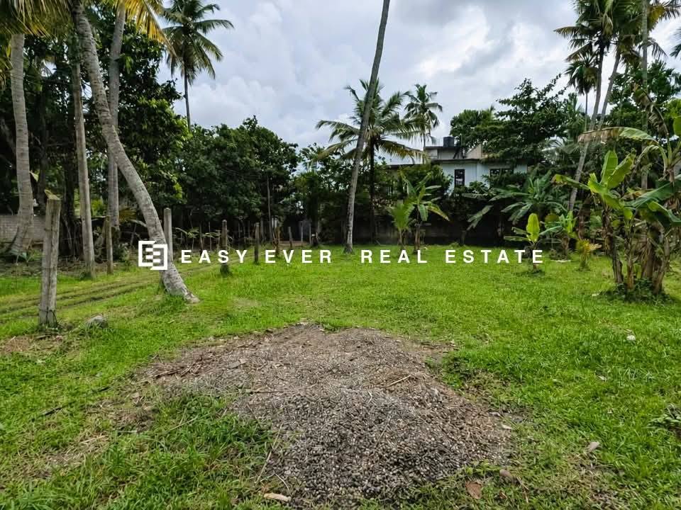 ජා ඇල – මිනුවන්ගොඩ ප්‍රධාන මාර්ගයට අතේ දුරින් පර්චස් 24
