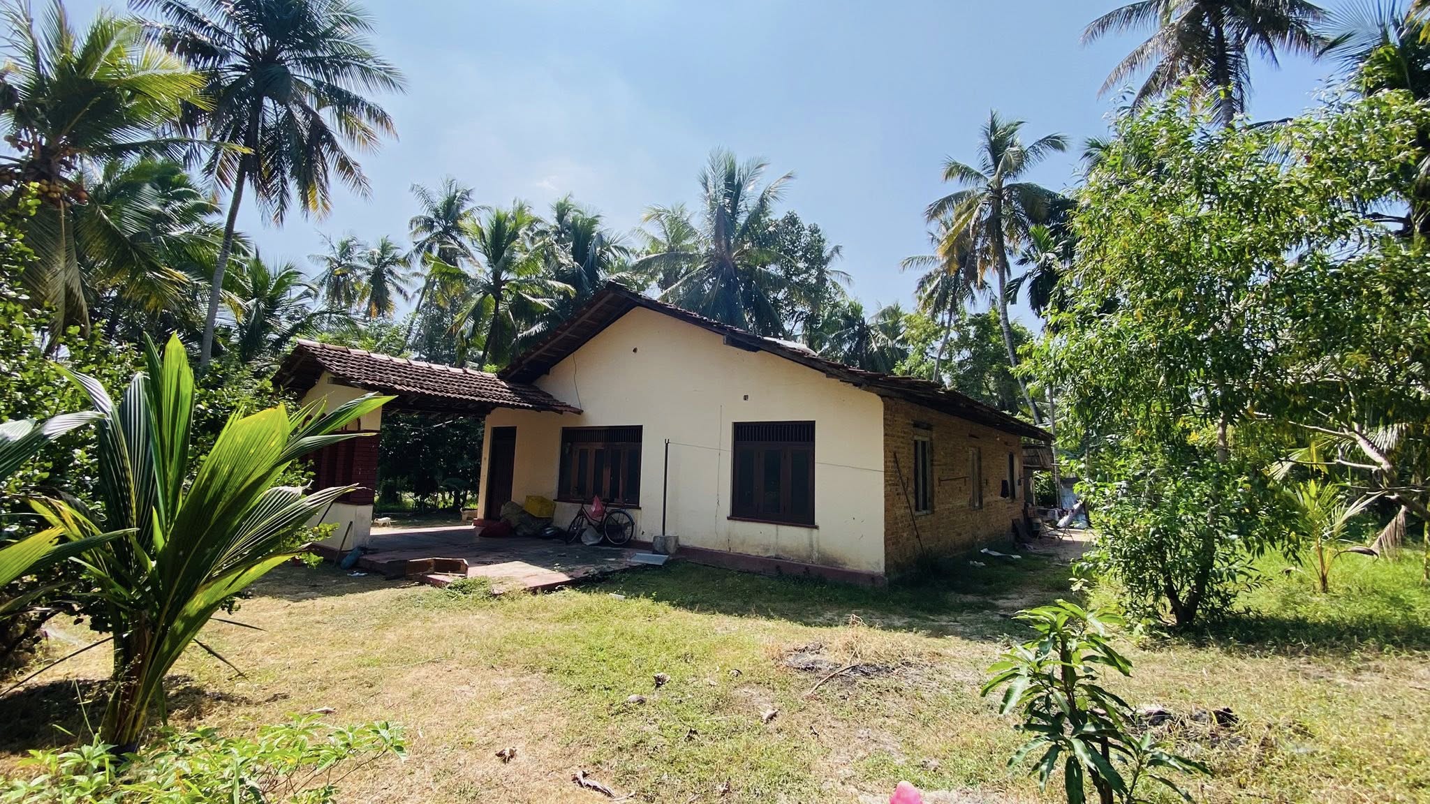අක්කර 1. 1/2 පොල් ඉඩමක් සමග නිවසක් විකිණිමට ඇත.