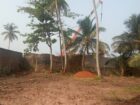 මීගමු කලපුව පේන මානයේ පර්චස් 60ම හෝ, පර්චස් 14.2 කැබලි වශයෙන් වහාම විකිණීමට…