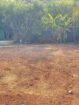 Residential Land For Sale In Negombo In Sri Lanka