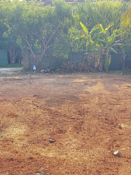 Residential Land For Sale In Negombo In Sri Lanka