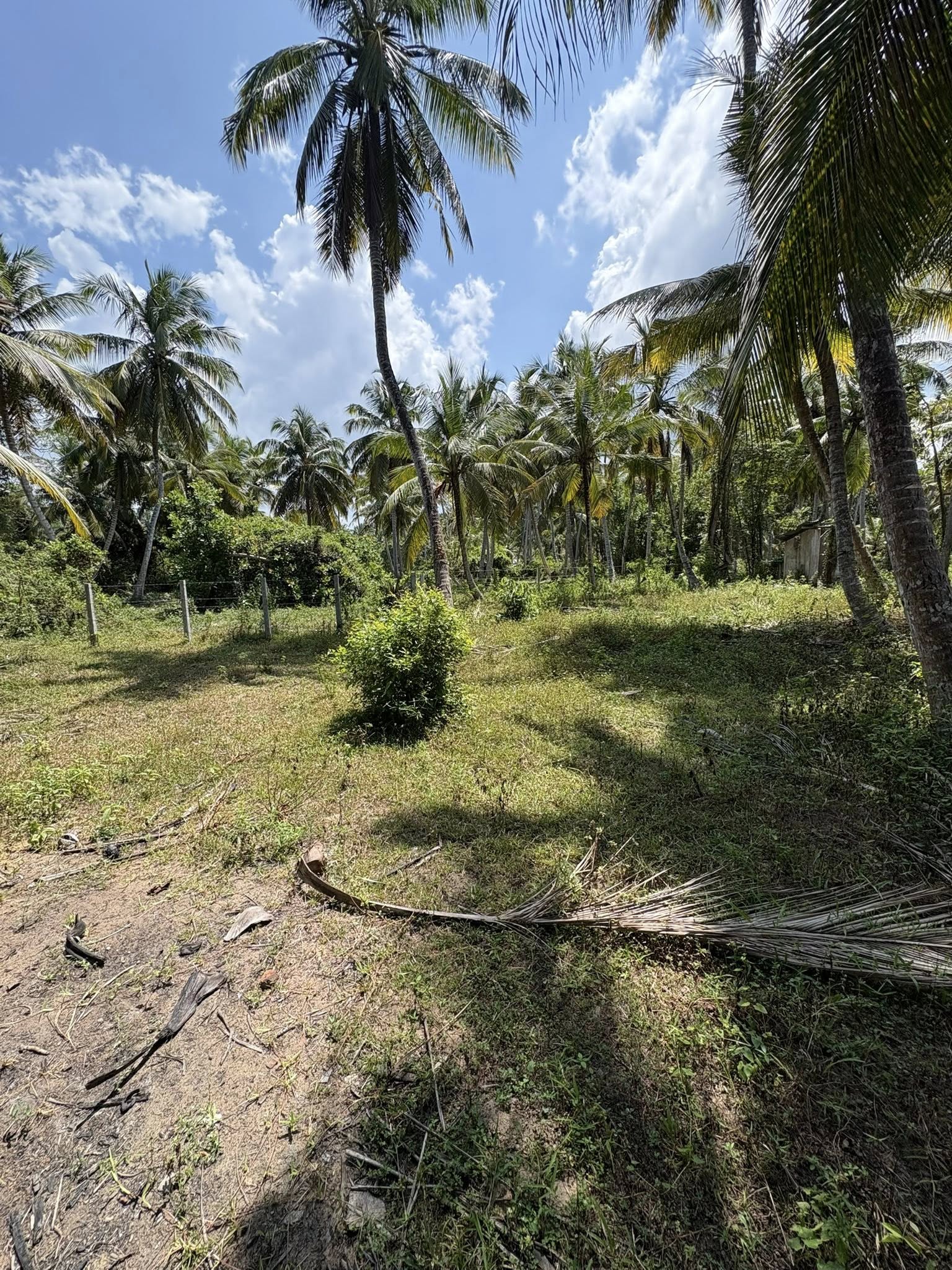 පම්බල, හලාවත ප්‍රදේශයේ පර්ච් 28ක වටිනා ඉඩමක් විකිණීමට ඇත!!