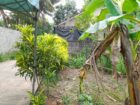 සිදුව අමන්දොළුව 169 එකමුතු මාවතට මායිමිව පාහිටි පචස් 14.5 ඉඩම