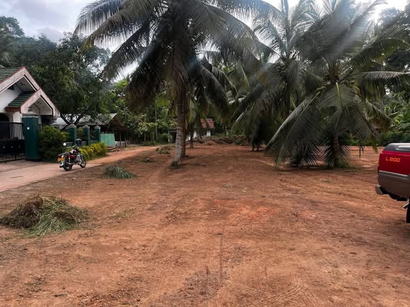මීගමුව නාත්තන්ඩි පාරෙ බෝතලෙගම පර්චස් 52 ක ඉඩමක් ප්‍රධාන පාරට ආසන්නව විකිනීමට ඇත.