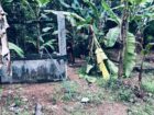 ගම්පහ උඩුගම්පලින් පදිංචියට ලැබෙන අනගි අවස්ථාවක්! 