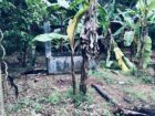 ගම්පහ උඩුගම්පලින් පදිංචියට ලැබෙන අනගි අවස්ථාවක්! 
