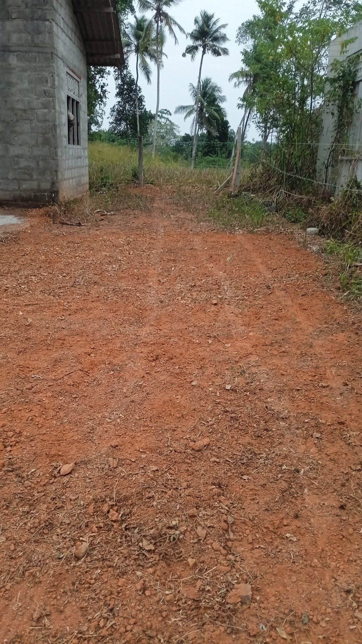 මිනුවන්ගොඩ ඉතා ඉක්මනින් විකිණීමට