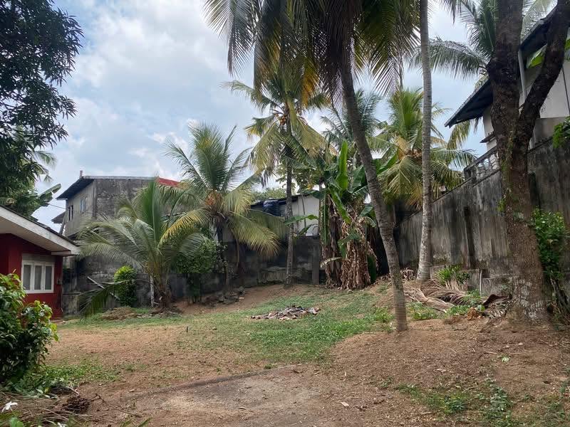 10 Perch Land for Sale