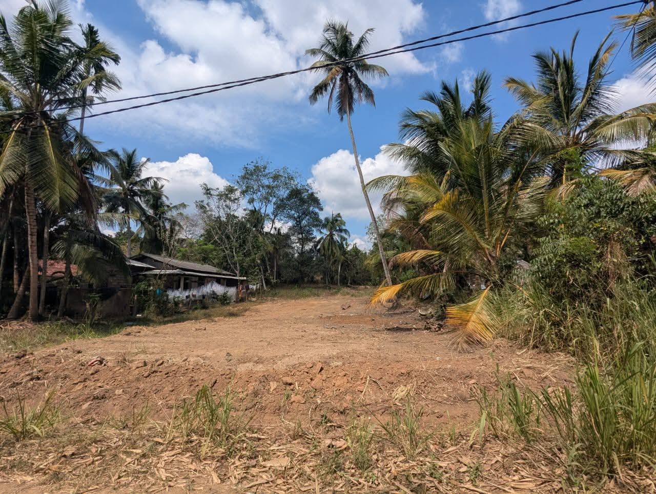 පර්චස් 17 ඉඩම ‎ගිරිවුල්ල මත්තේගම ප්‍රදේශයෙන් අයෝජනය කරන්න.
