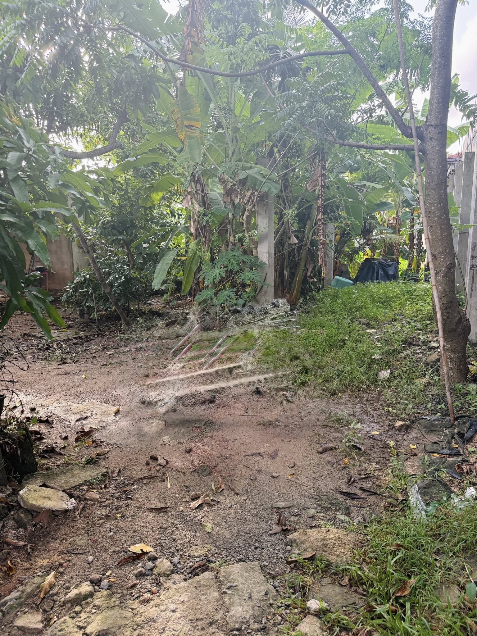 මීගමුව දලුපත පිහිටා ඇති පර්චස් 9.50ක අඩක් නිම කල නිවස සහිත ඉඩම විකිණීමට.