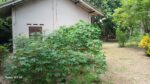 Seeduwa Land For Sale