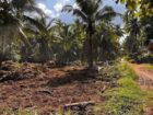 මීගමුව නාත්තන්ඩි පාරෙ බෝතලෙගම පර්චස් 52 ක ඉඩමක් ප්‍රධාන පාරට ආසන්නව විකිනීමට ඇත.