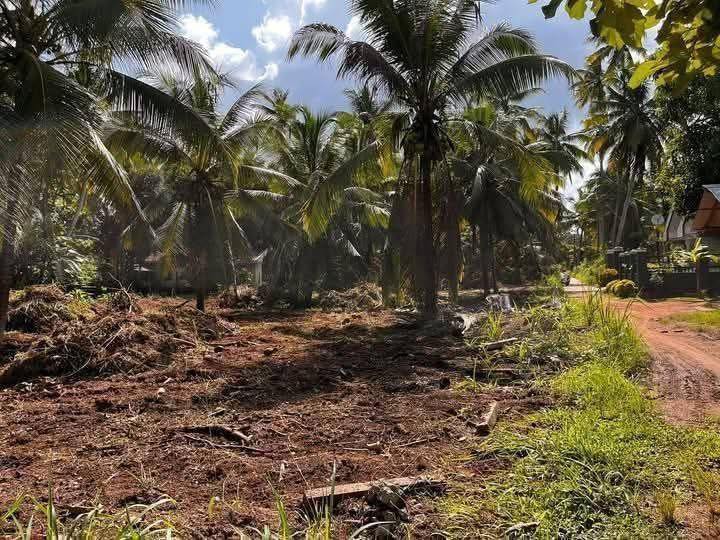 මීගමුව නාත්තන්ඩි පාරෙ බෝතලෙගම පර්චස් 52 ක ඉඩමක් ප්‍රධාන පාරට ආසන්නව විකිනීමට ඇත.