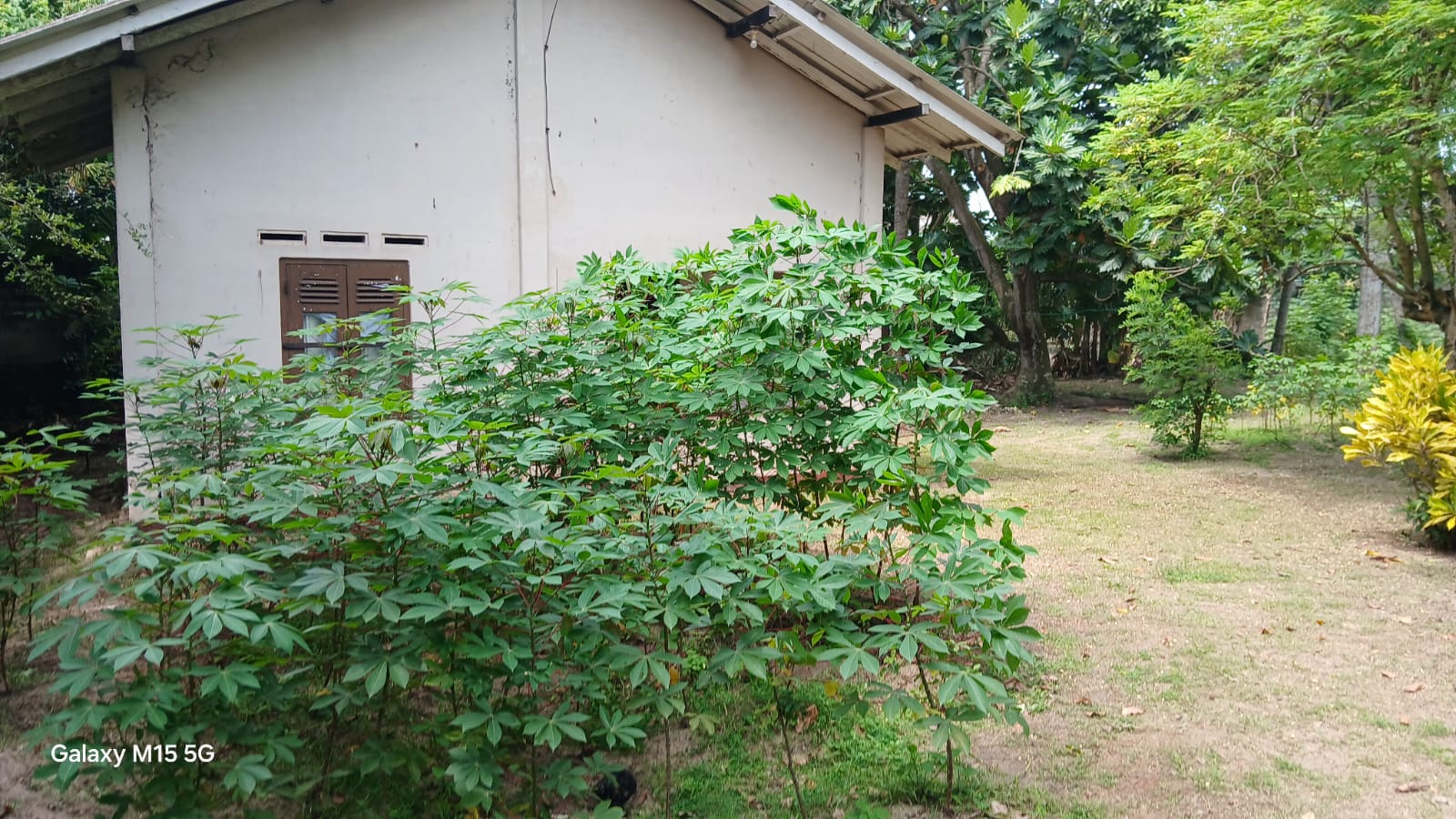 Seeduwa Land For Sale