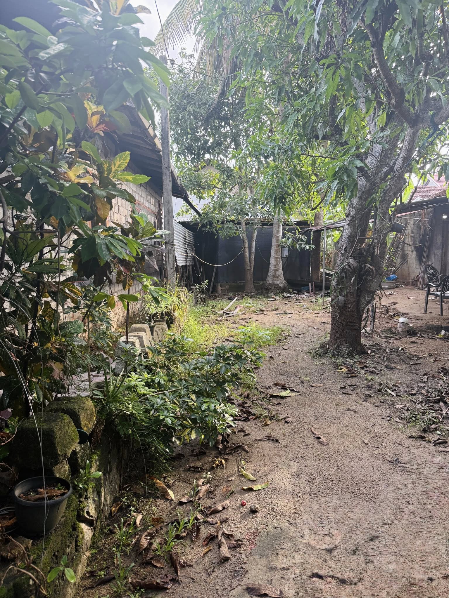 මීගමුව දලුපත පිහිටා ඇති පර්චස් 9.50ක අඩක් නිම කල නිවස සහිත ඉඩම විකිණීමට.