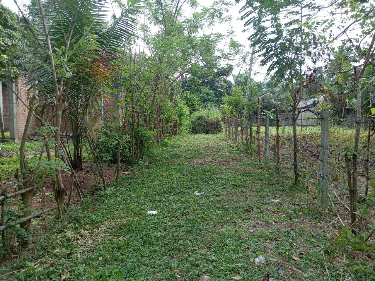 මිනුවන්ගොඩ – කටුනායක ප්‍රධාන පාරට නුදුරින් දැවමොට්ටාව ග්‍රාමයේ පිහිටි පර්.16.5 ක අගනා බිම් කොටස හැකි ඉක්මනින් විකුණනු ලැබේ.