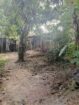 මීගමුව දලුපත පිහිටා ඇති පර්චස් 9.50ක අඩක් නිම කල නිවස සහිත ඉඩම විකිණීමට.