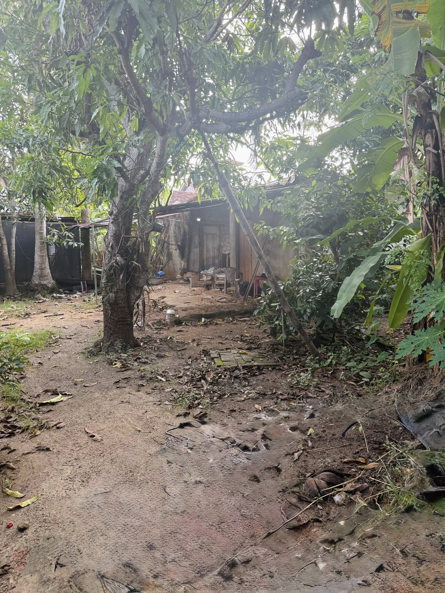මීගමුව දලුපත පිහිටා ඇති පර්චස් 9.50ක අඩක් නිම කල නිවස සහිත ඉඩම විකිණීමට.