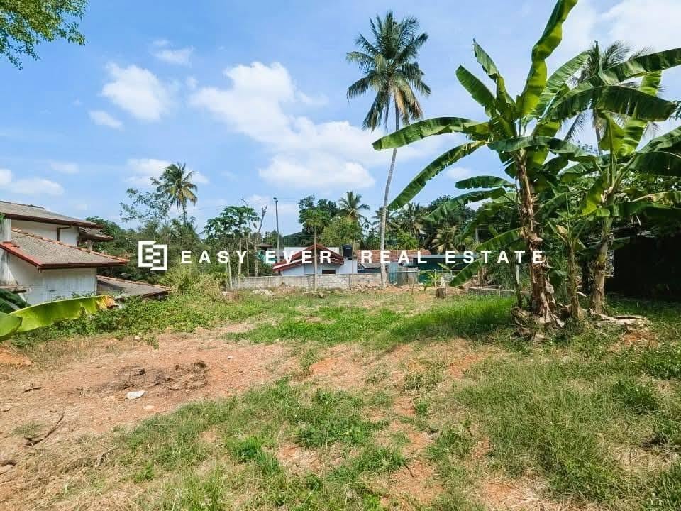 බුලත්කඩේ හන්දියෙන්ම මෙම වටිනා බිම් කොටස් ඉක්මනින් විකිනීමට