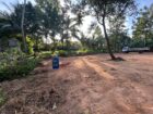 40 Perches Land for Sale – Udangawa, Kochchikade, Negombo