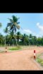 හලාවත පම්බලින් පර්චස් 17 බිම් කොටස් 2ක් විකිනීමට