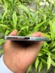 Infinix Hot 50 Pro+