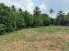 ඔබගේ ව්‍යාපාරයකට කියාපු තැන…..