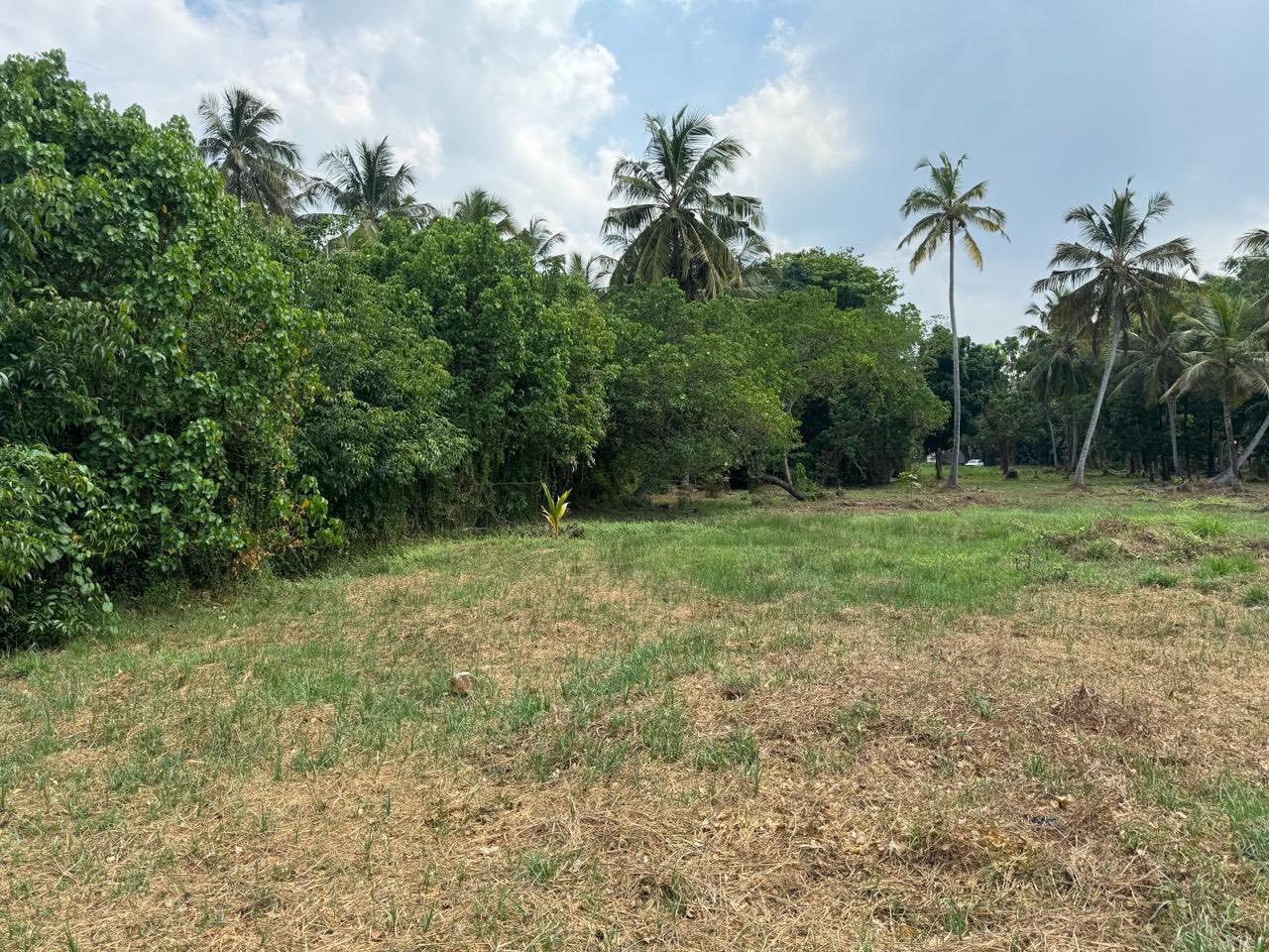 ඔබගේ ව්‍යාපාරයකට කියාපු තැන…..