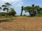 ඔබගේ ව්‍යාපාරයකට කියාපු තැන…..