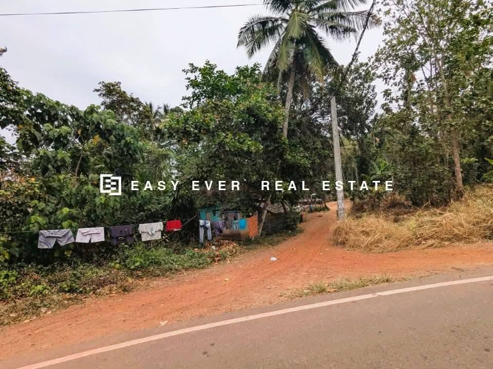 ගම්පහට ආසන්නයෙන් සුපිරි ඉඩම් අවස්ථාවක්!