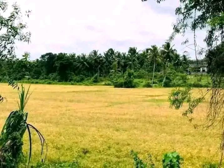හෝමාගම, හල්බරාව අලුතින් සාදන ලද නිවසක් විකිණීමට තිබේ.