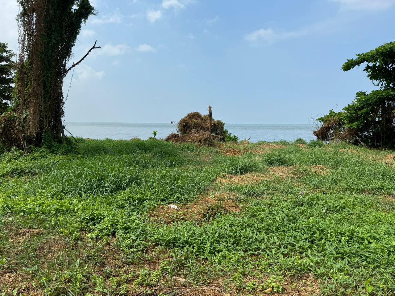 ඔබගේ ව්‍යාපාරයකට කියාපු තැන…..