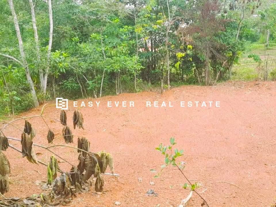 ගම්පහට ආසන්නයෙන් සුපිරි ඉඩම් අවස්ථාවක්!