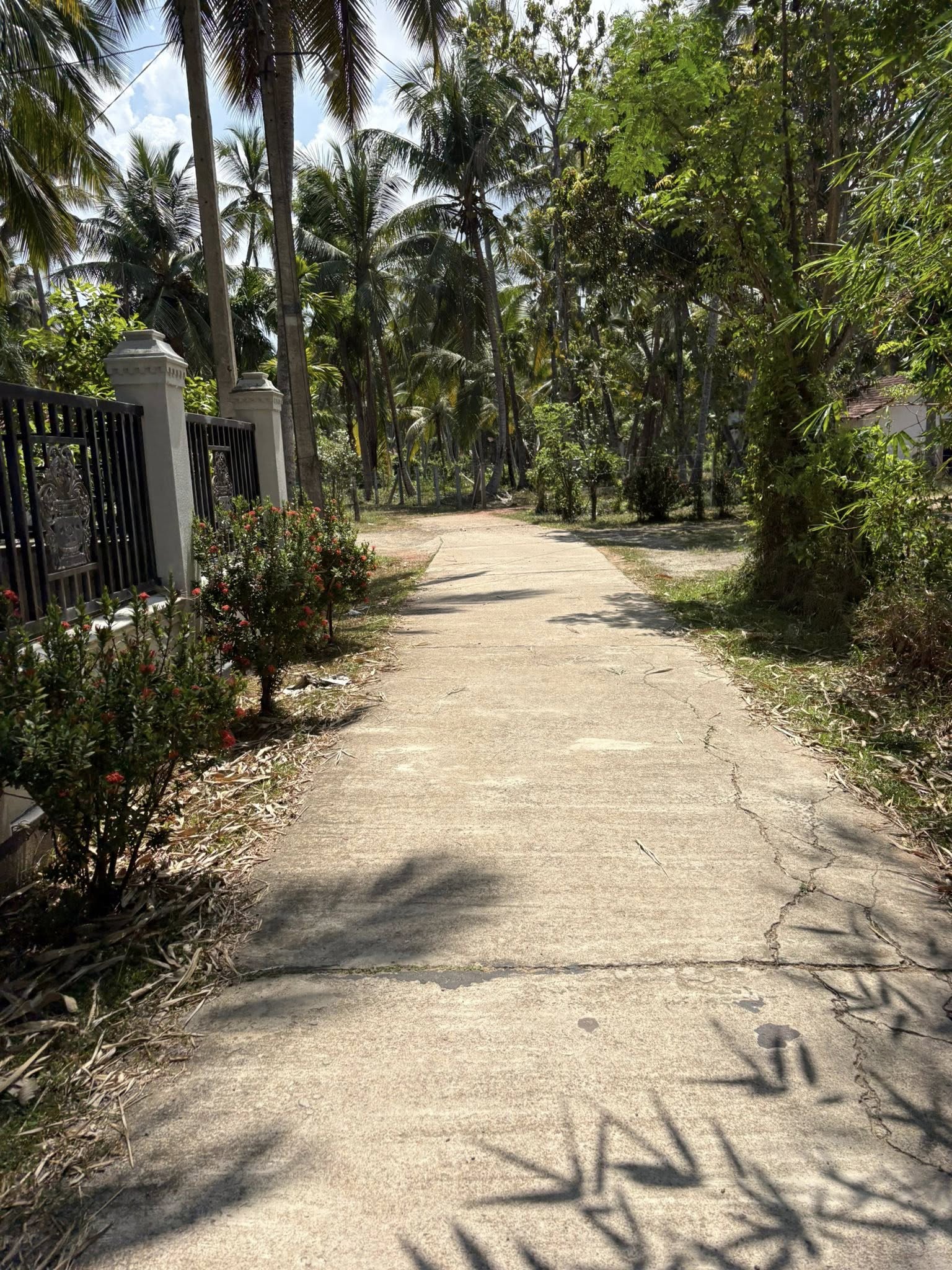 පම්බල, හලාවත ප්‍රදේශයේ පර්ච් 28ක වටිනා ඉඩමක් විකිණීමට ඇත!!